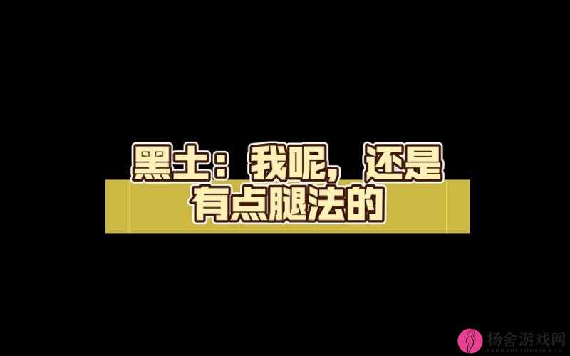 ちゃんが腿法娴熟脚法：展现惊人技艺令人赞叹不已